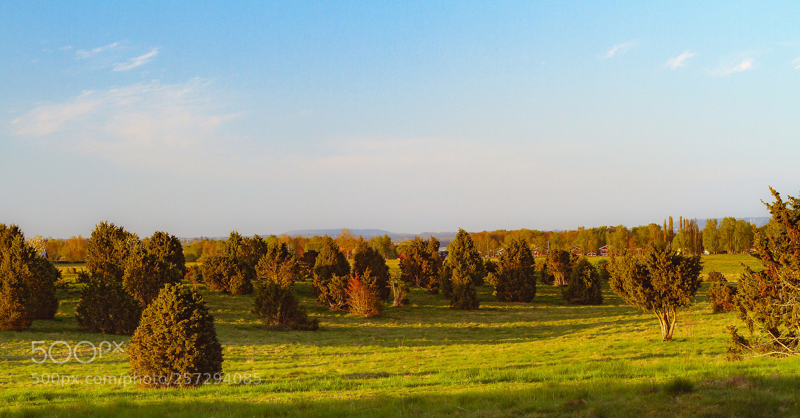 Canon EOS 7D sample photo. Moorland no2 photography