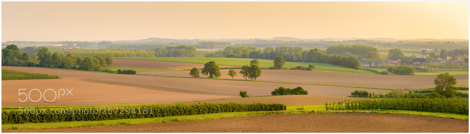 Nikon D7200 sample photo. Groot loon panorama photography