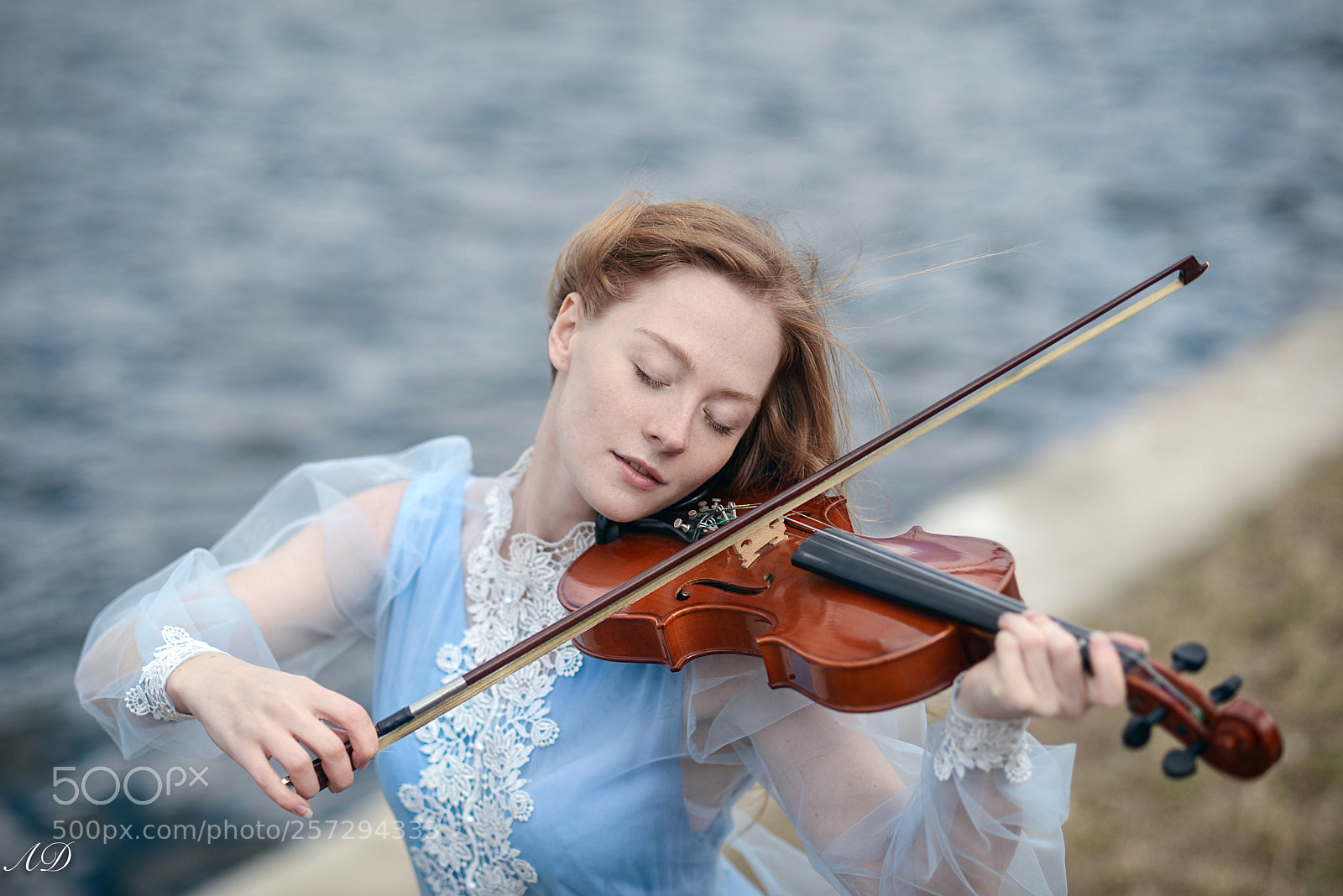 Nikon D600 sample photo. The violinist photography