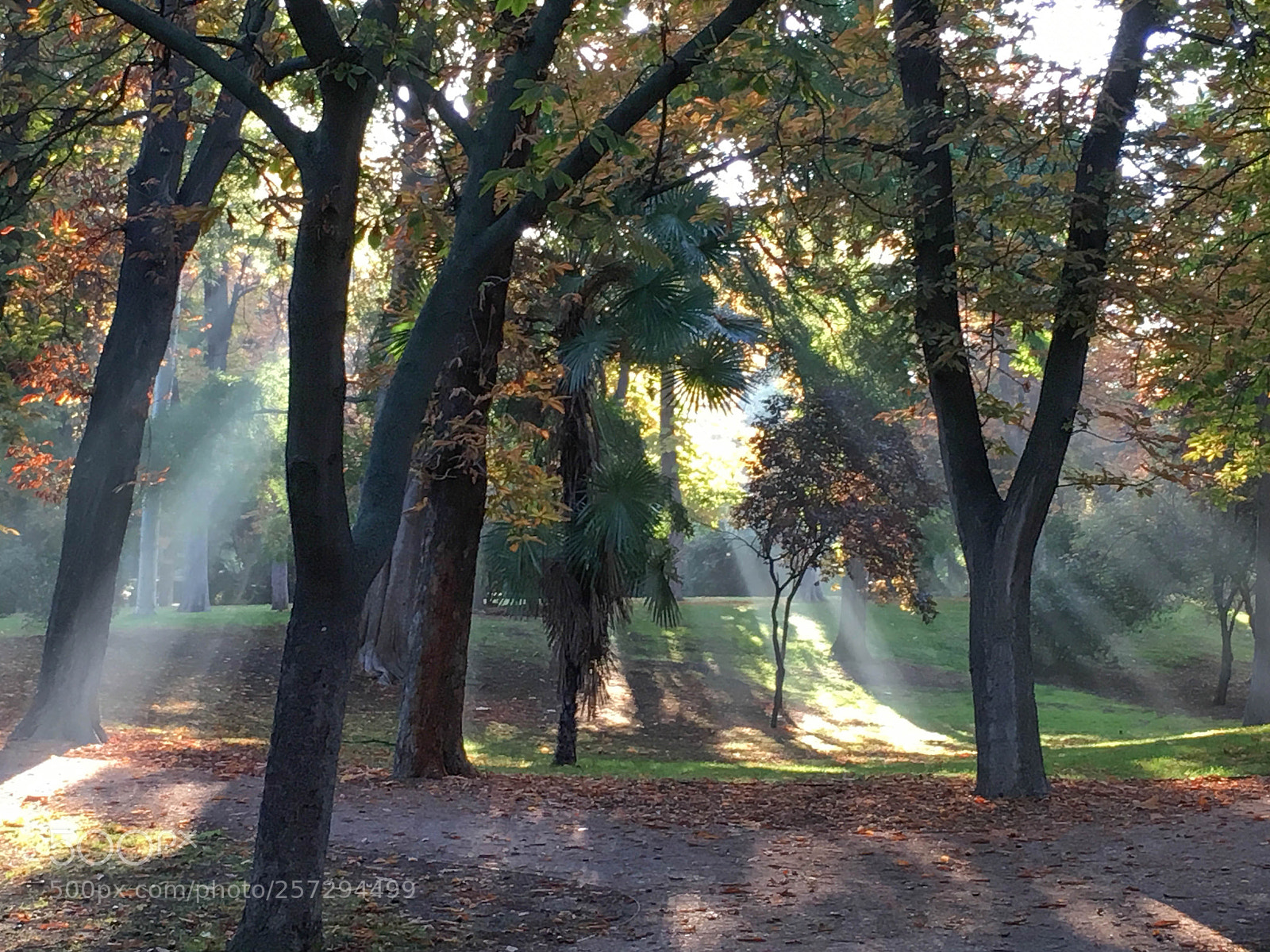 Apple iPhone 6s sample photo. Parque del retiro, madrid photography