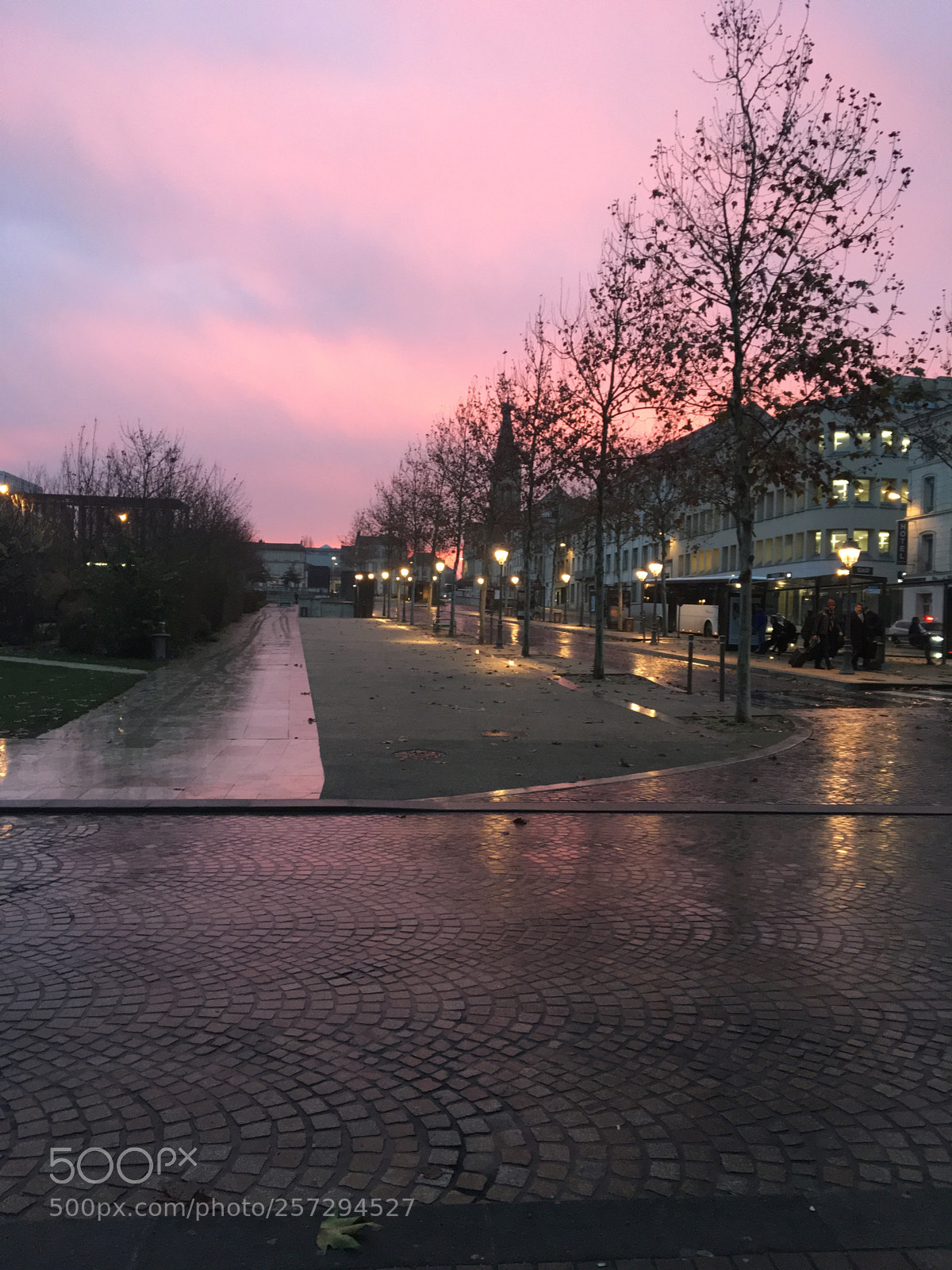 Apple iPhone 6s sample photo. La vie en rose photography