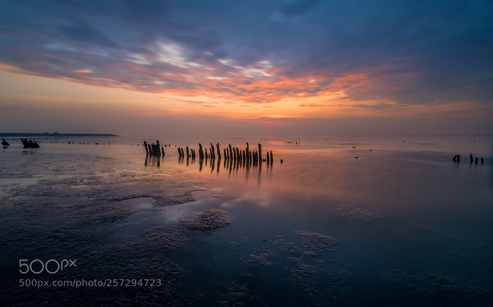 Nikon D750 sample photo. Moddergat at sunset photography