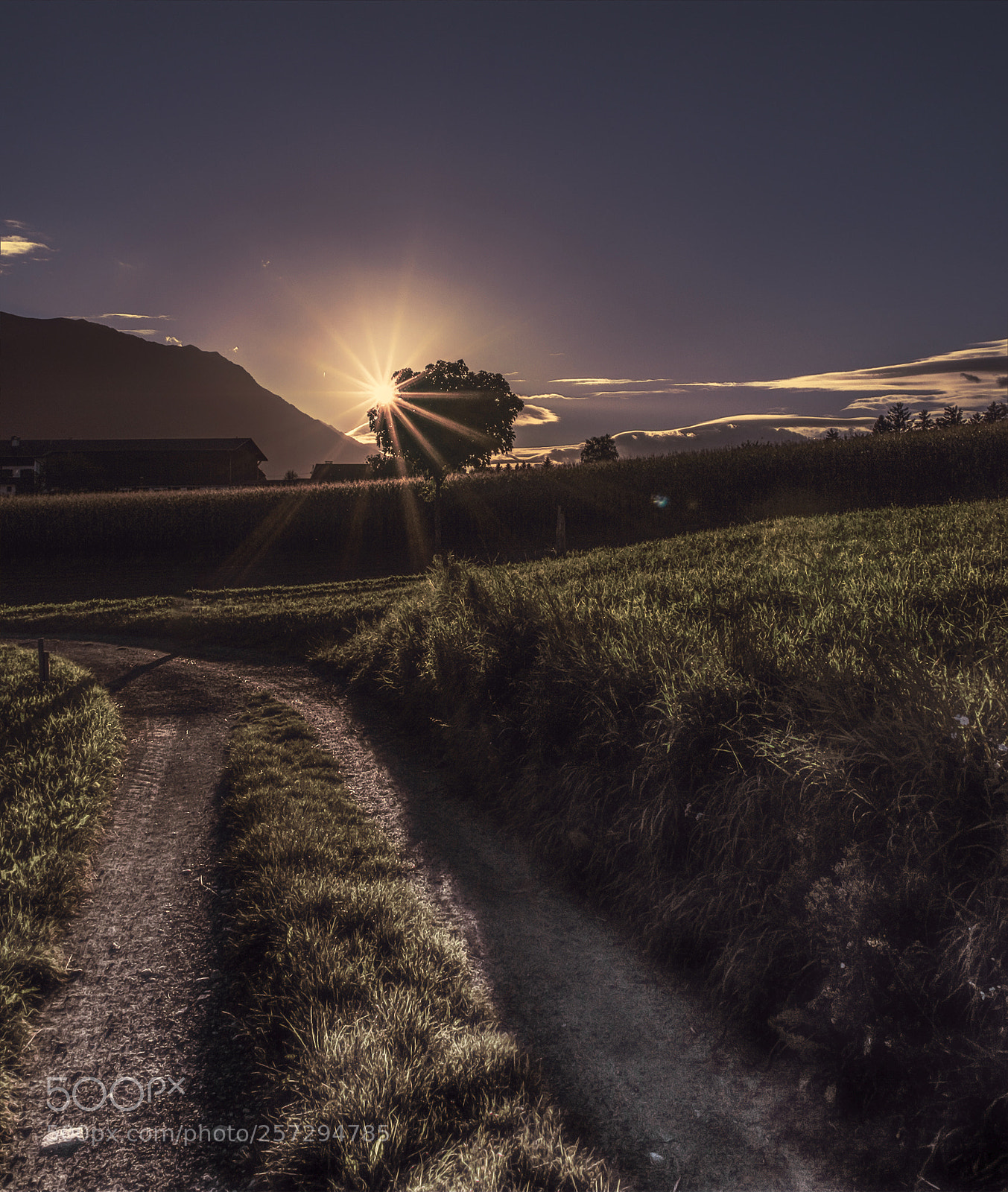 Sony ILCA-77M2 sample photo. Ranggen photography