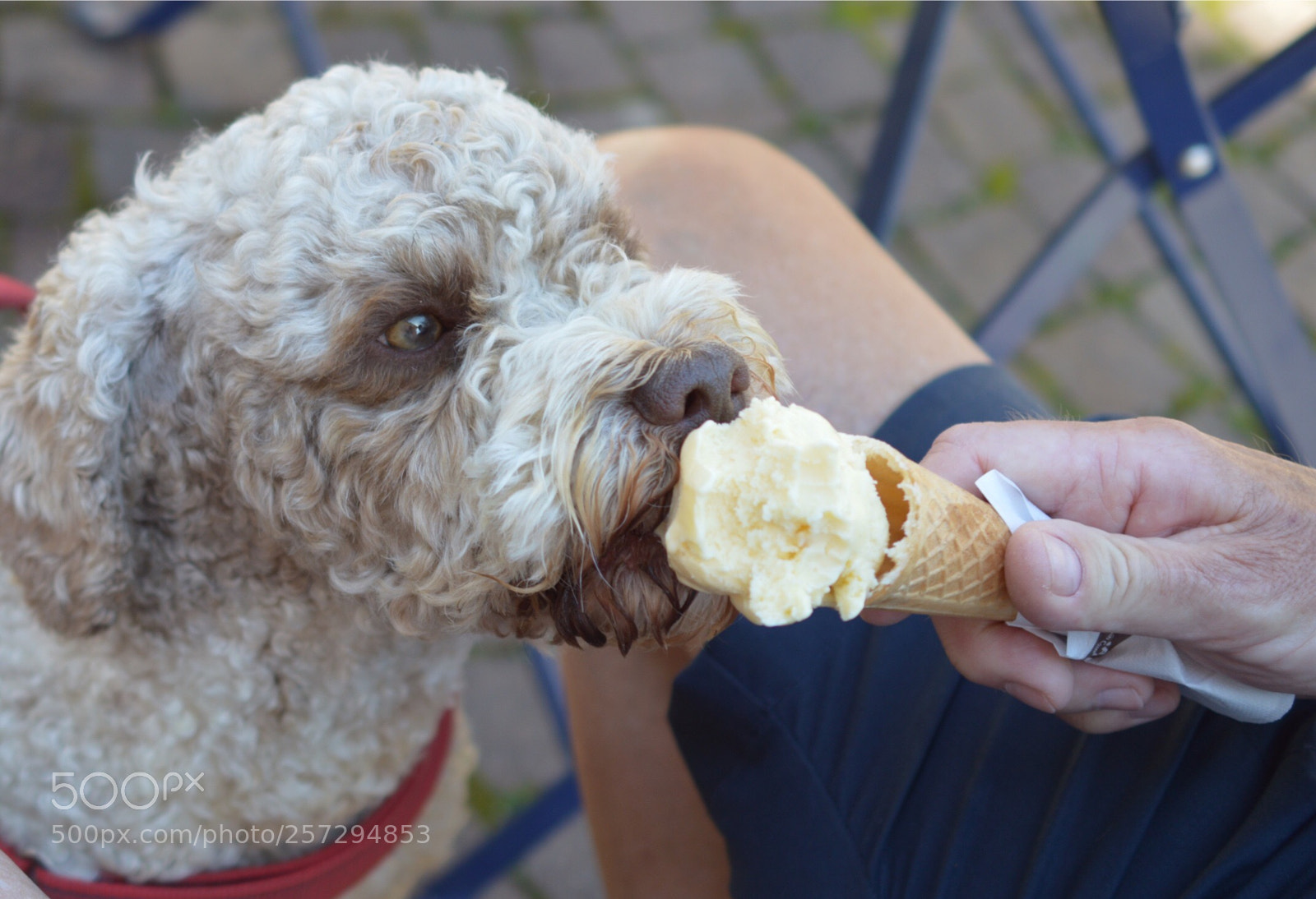 Nikon D3200 sample photo. 100% spoiled photography