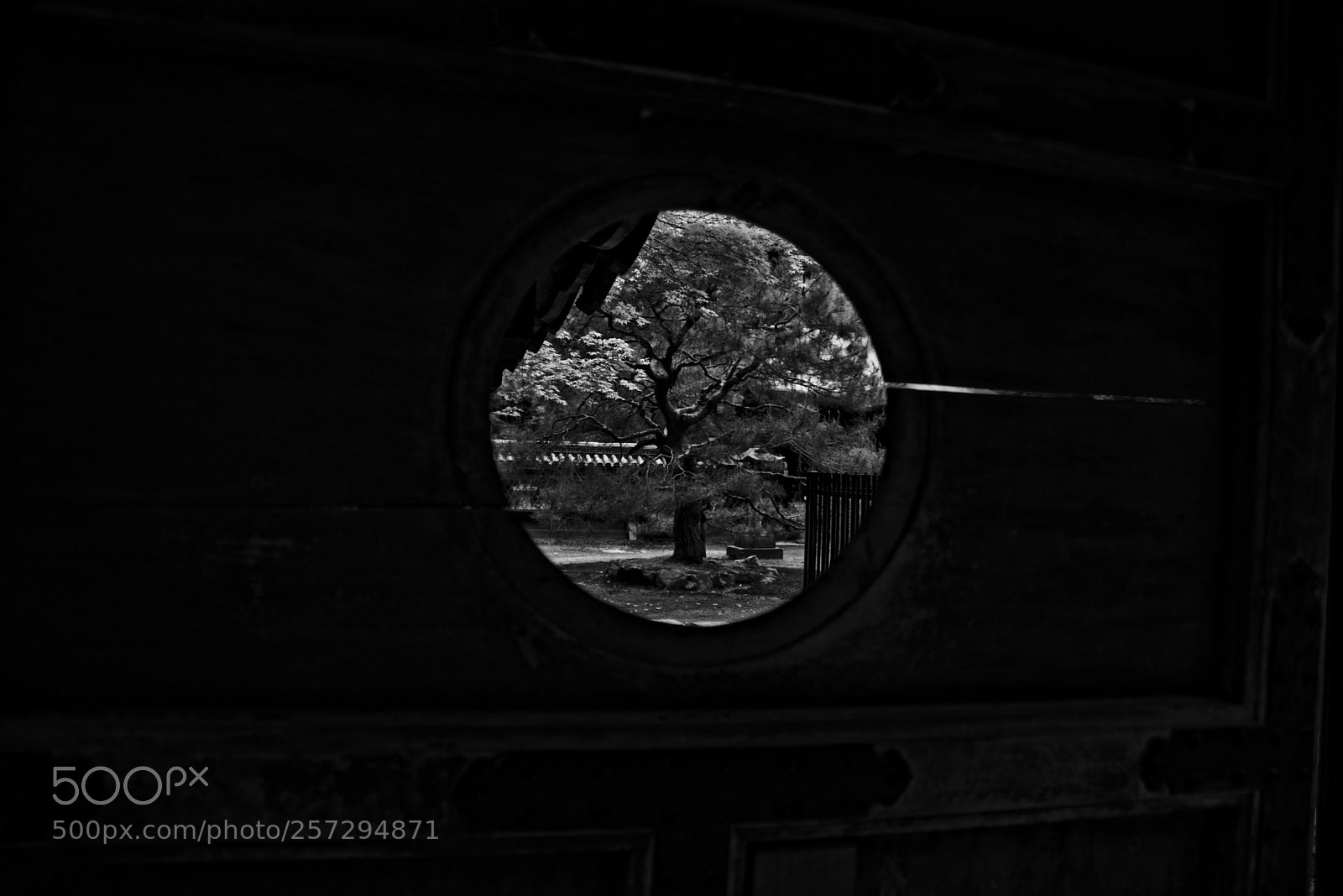 Nikon D3400 sample photo. Konchi-in's doors photography