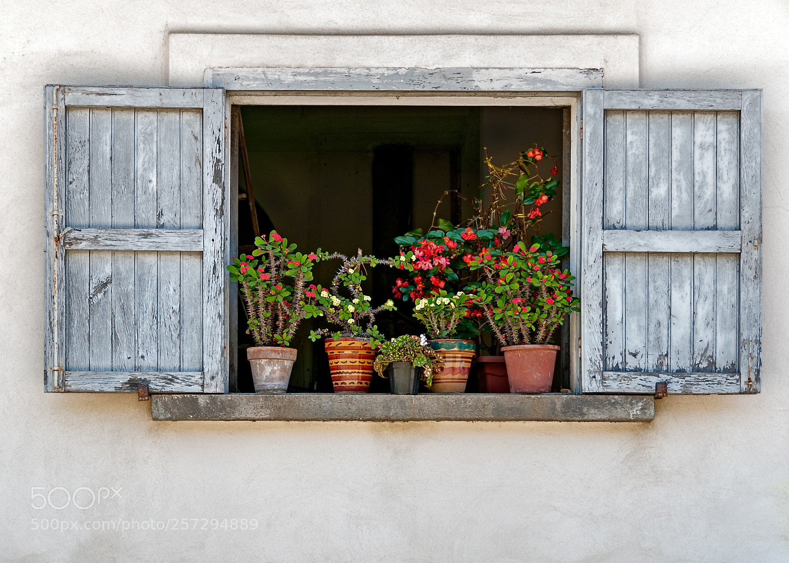 Nikon D80 sample photo. Window photography