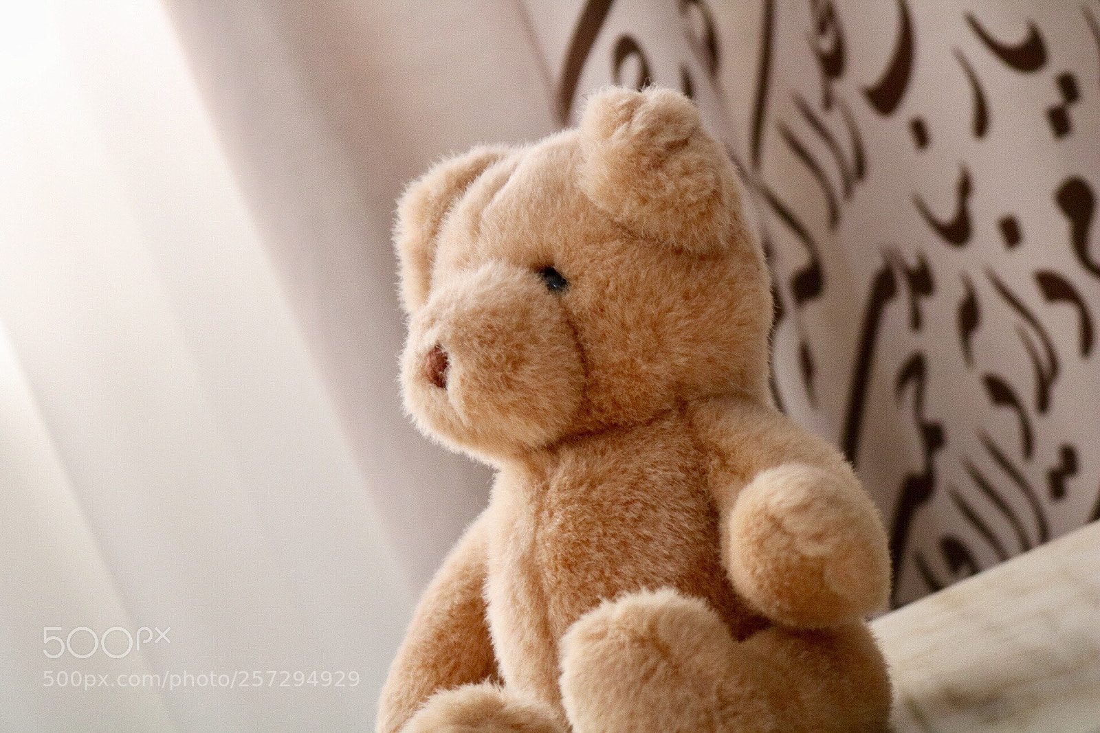 Canon EOS 750D (EOS Rebel T6i / EOS Kiss X8i) sample photo. Untitled photography