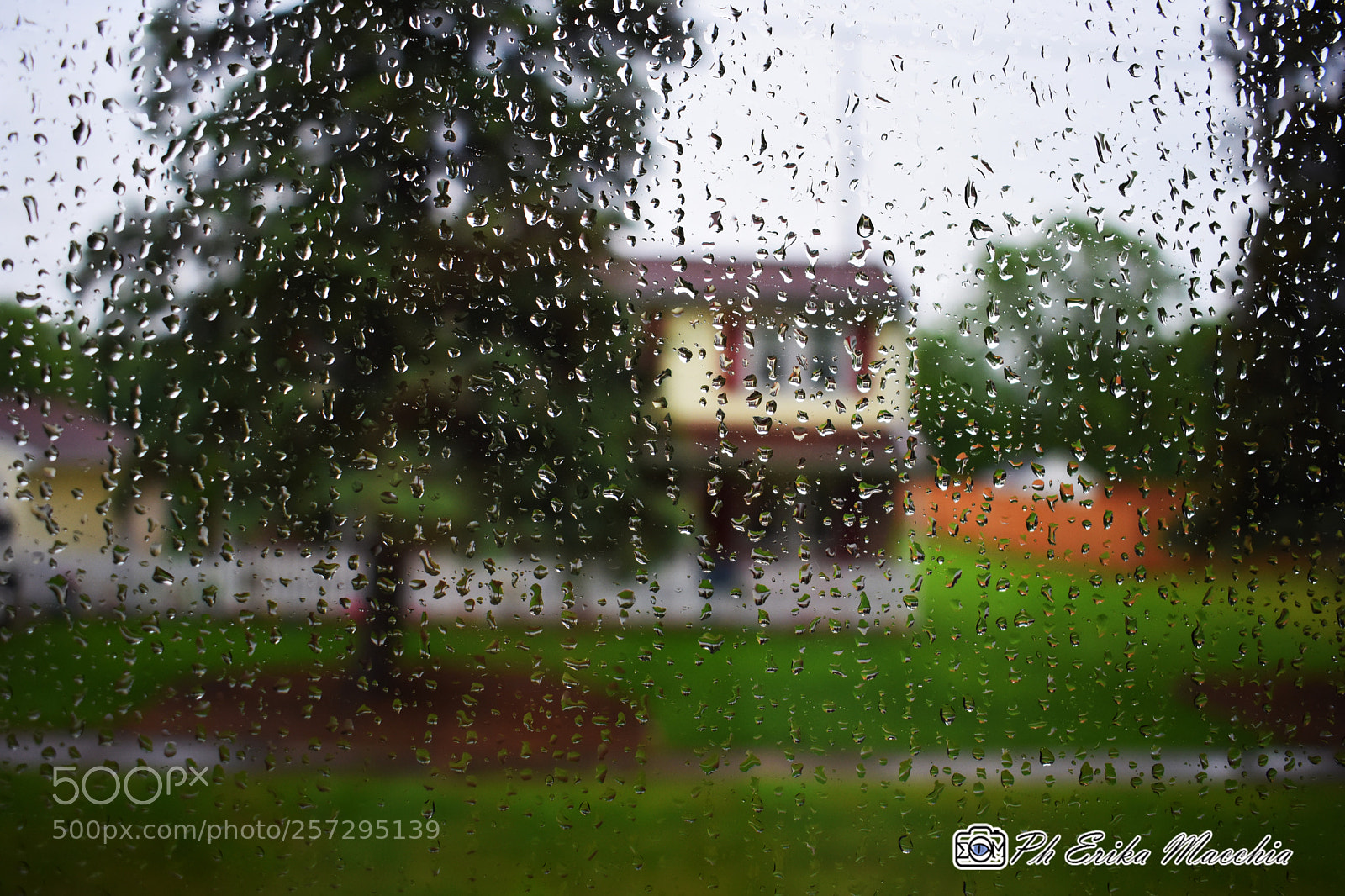 Nikon D3400 sample photo. It is raining photography
