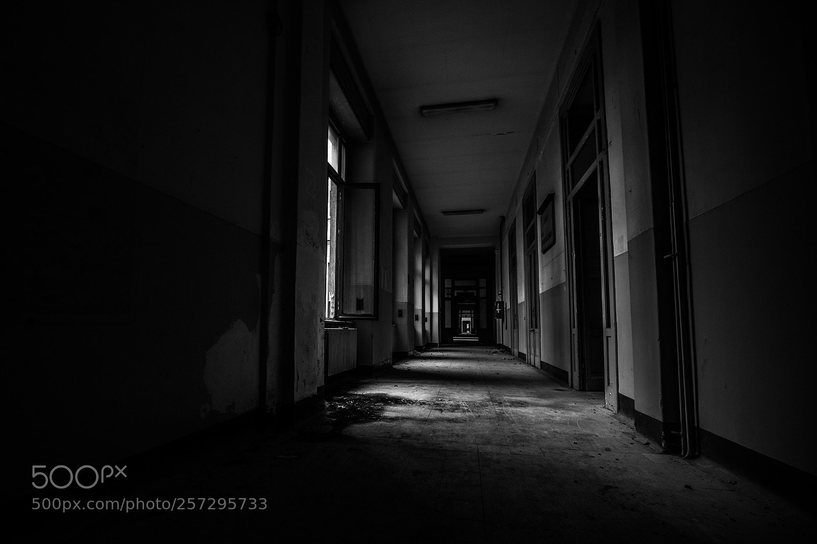 Canon EOS 6D sample photo. Asylum photography