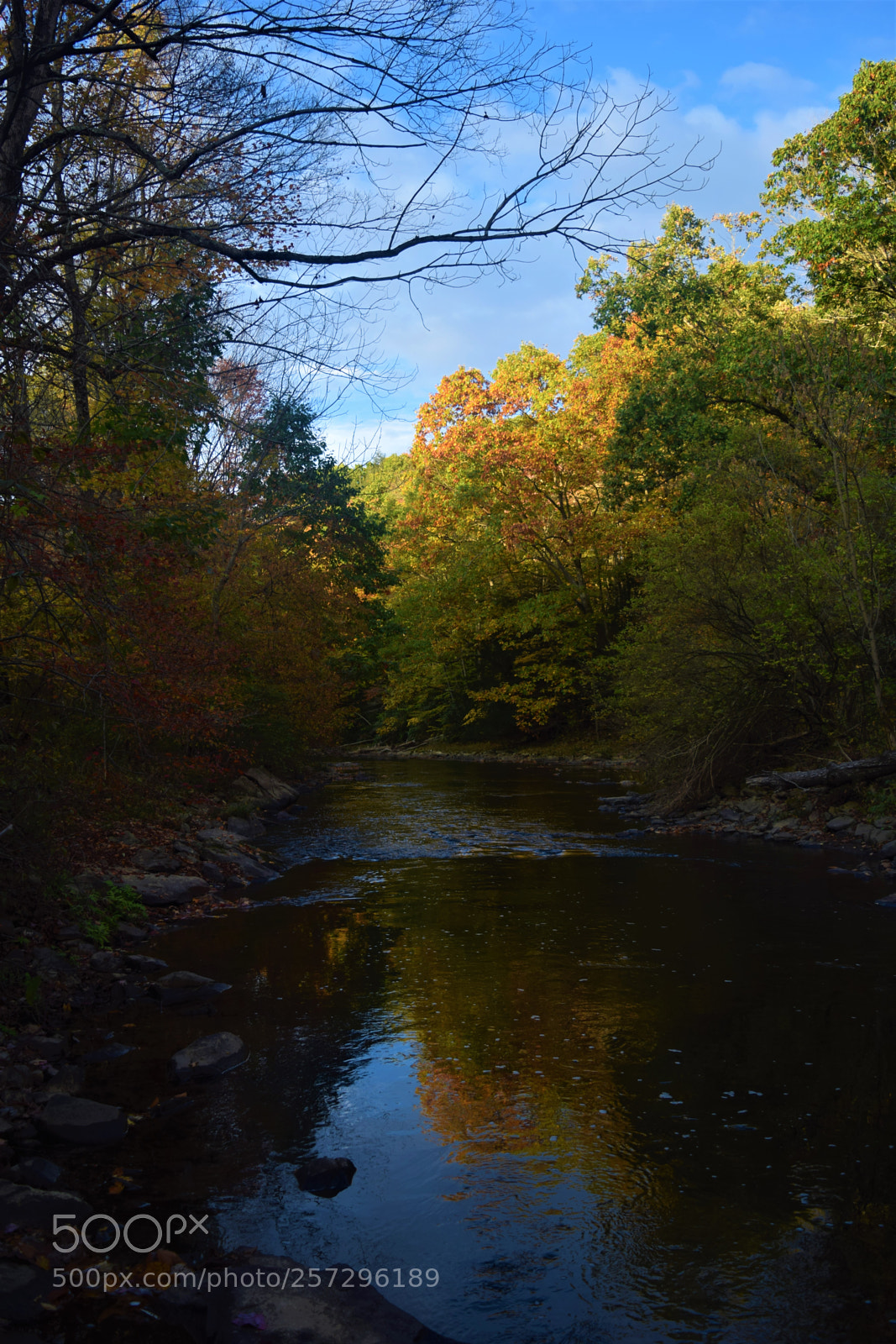 Nikon D3300 sample photo. Fall reflection photography