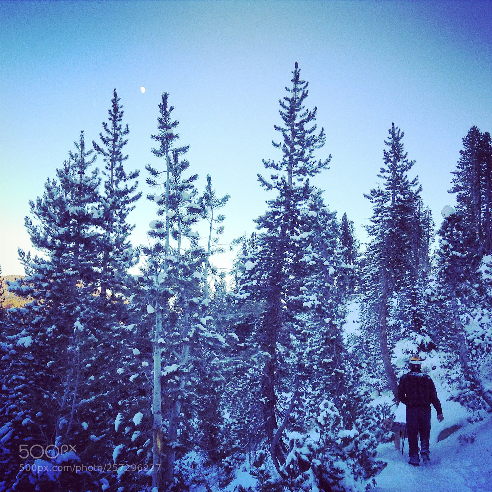 Apple iPod touch sample photo. Fresh snow photography