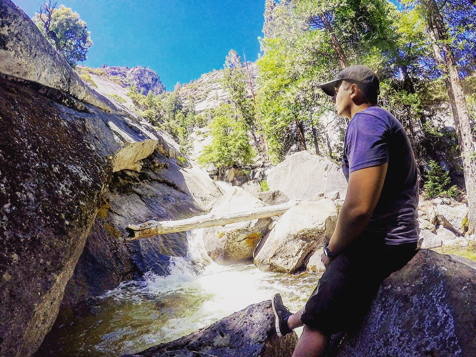 GoPro HERO4 Silver sample photo. Wild photography