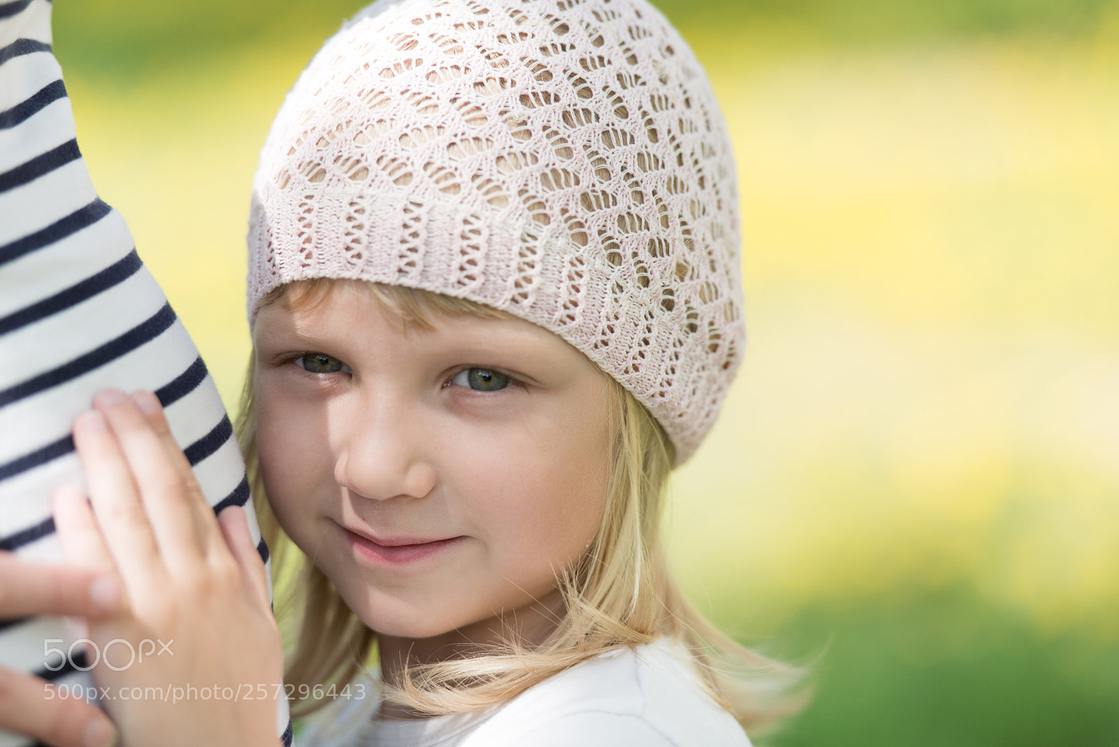 Nikon D800E sample photo. Untitled photography