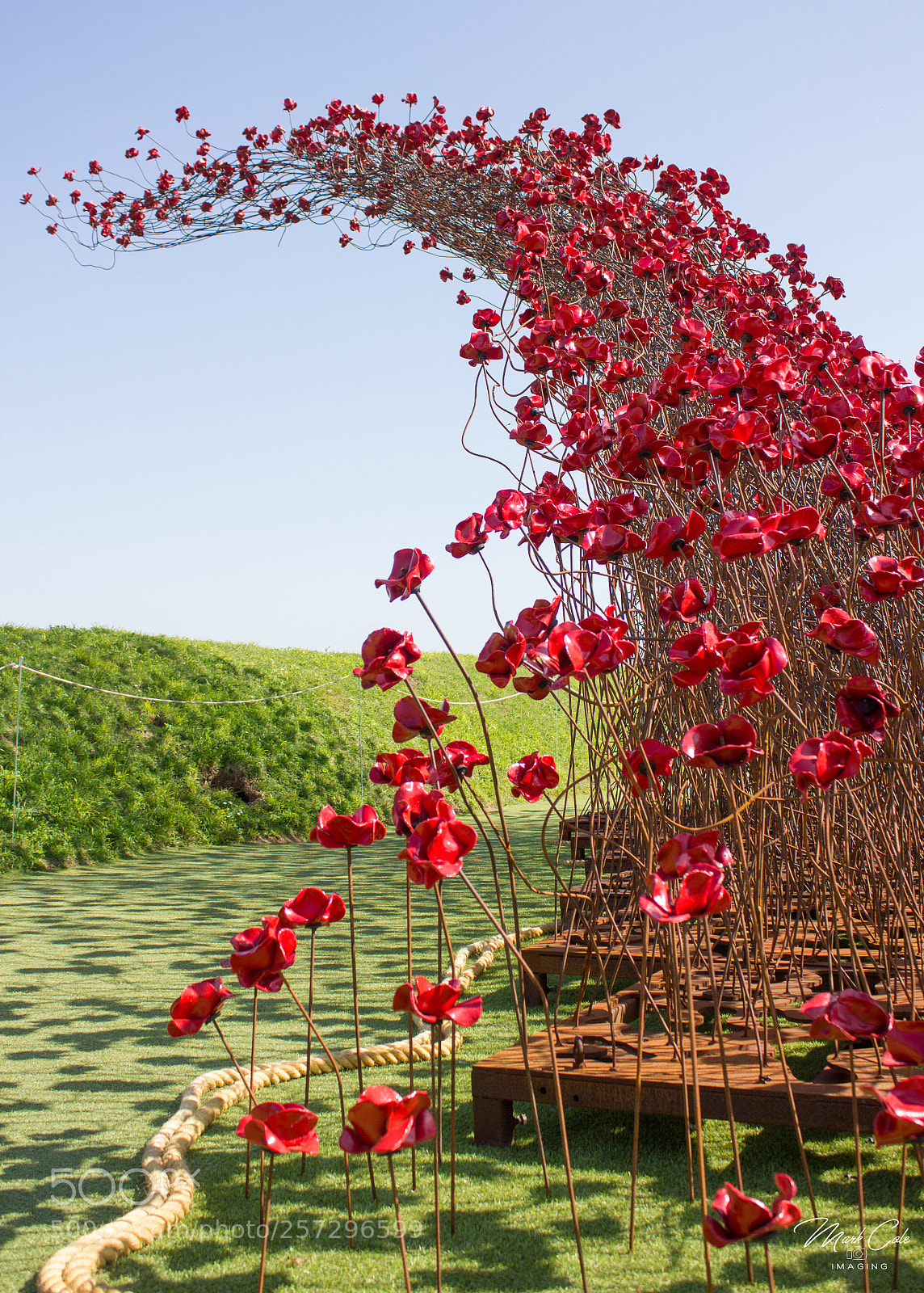 Canon EOS 550D (EOS Rebel T2i / EOS Kiss X4) sample photo. Poppy wave photography