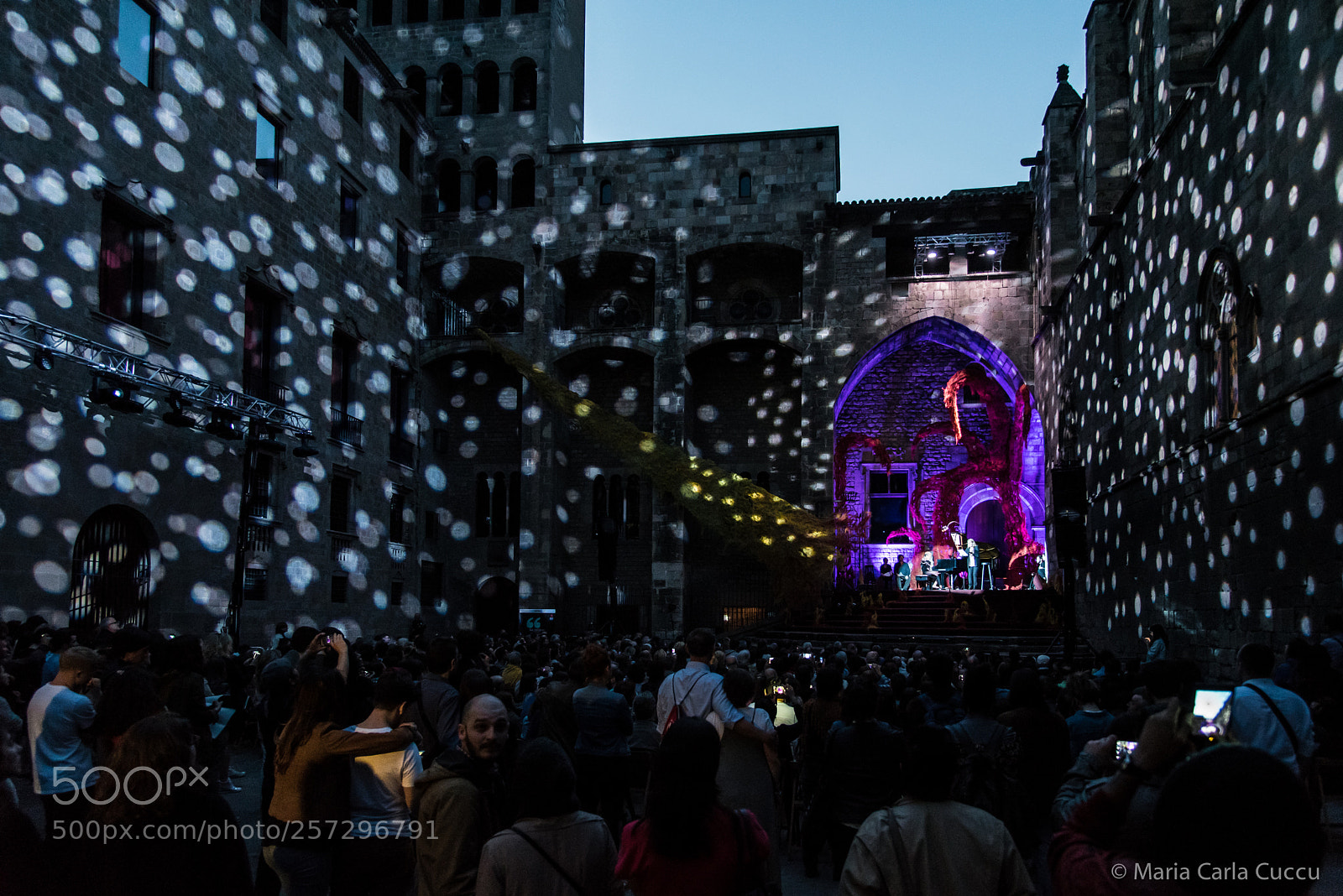 Nikon D750 sample photo. Barcellona, sant jordi e photography