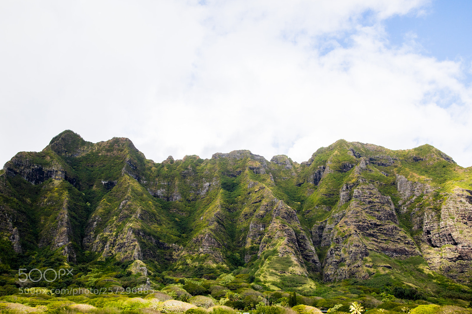 Canon EOS 5D Mark IV sample photo. Jurassic world photography
