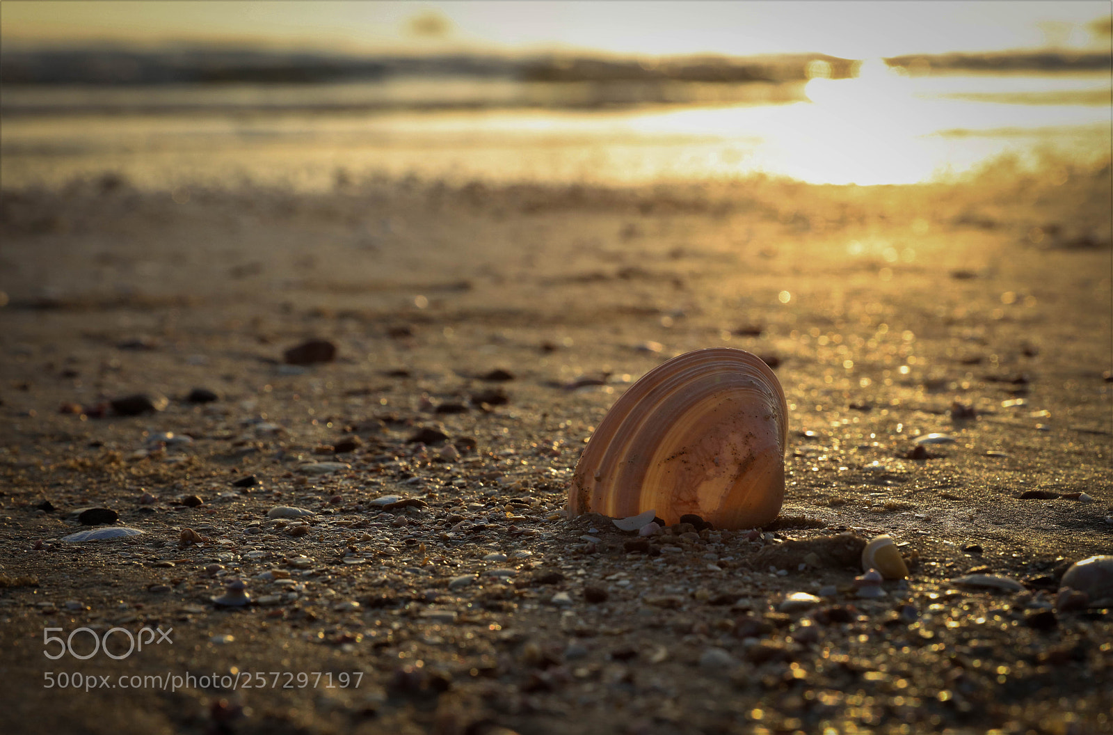 Canon EOS 5DS R sample photo. Treasure photography