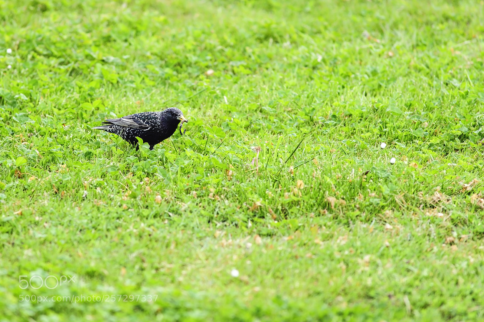Nikon D3 sample photo. It's mine photography