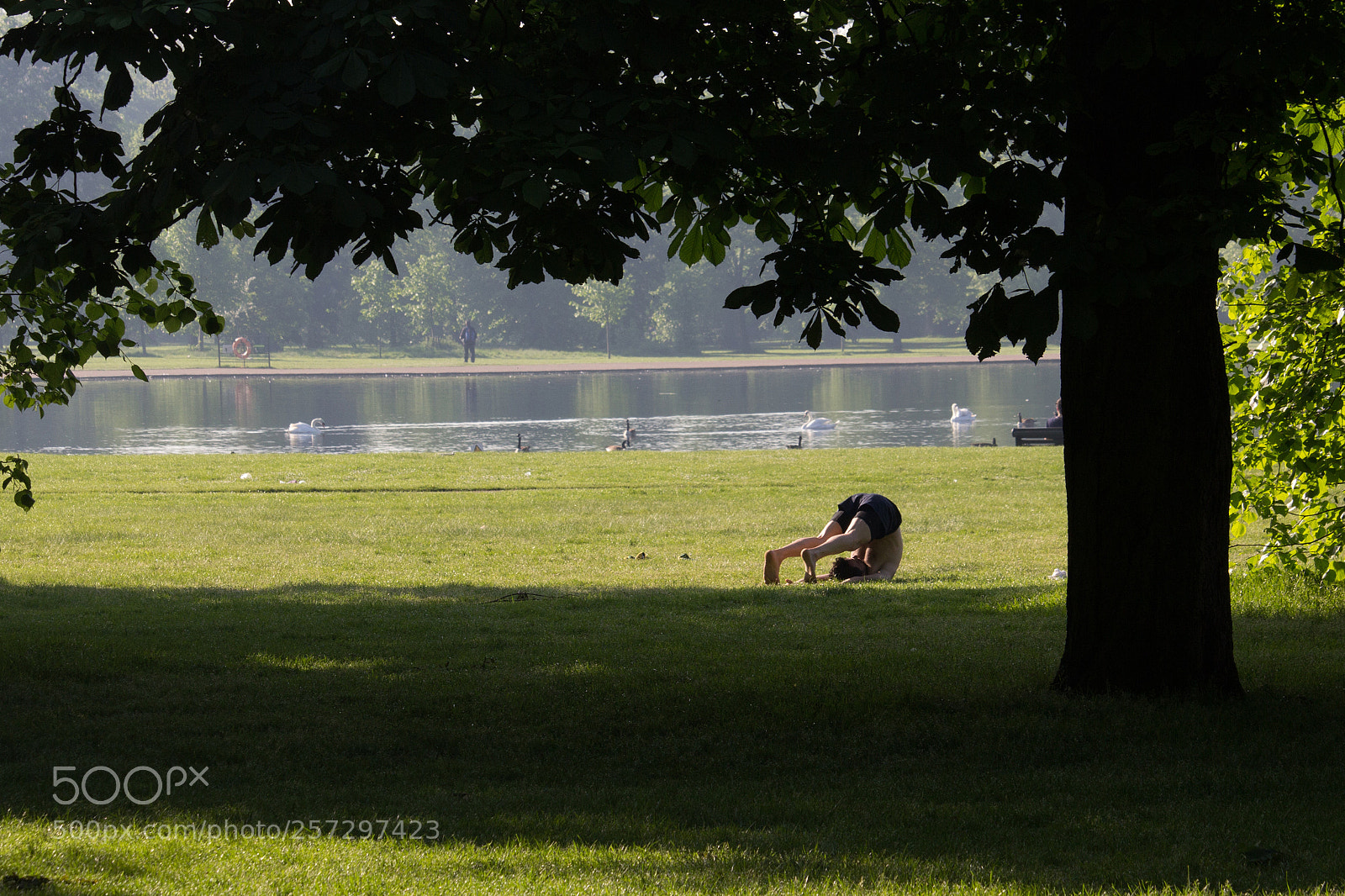 Canon EOS 60D sample photo. London - hyde park photography