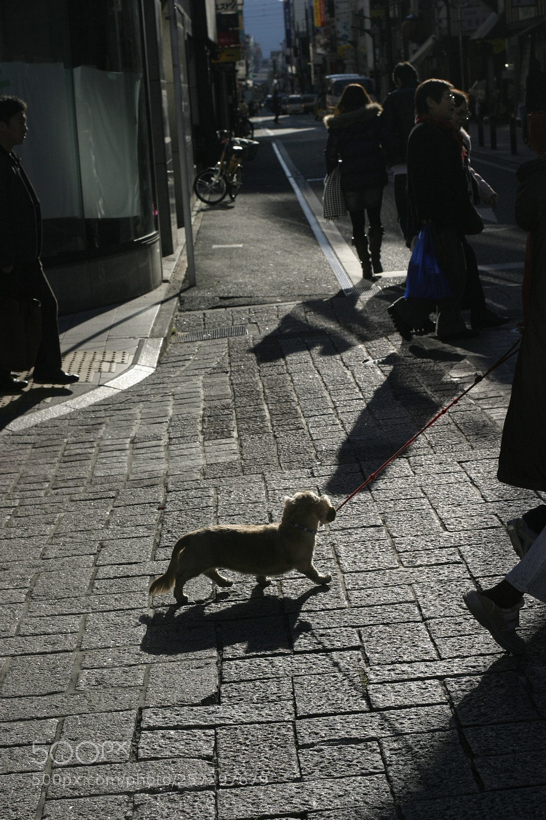 Canon EOS 10D sample photo. 楽しいお散歩　　the walk is fun. photography