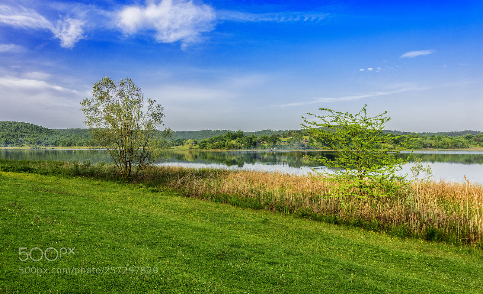 Nikon D810 sample photo. The beauty of spring ... photography