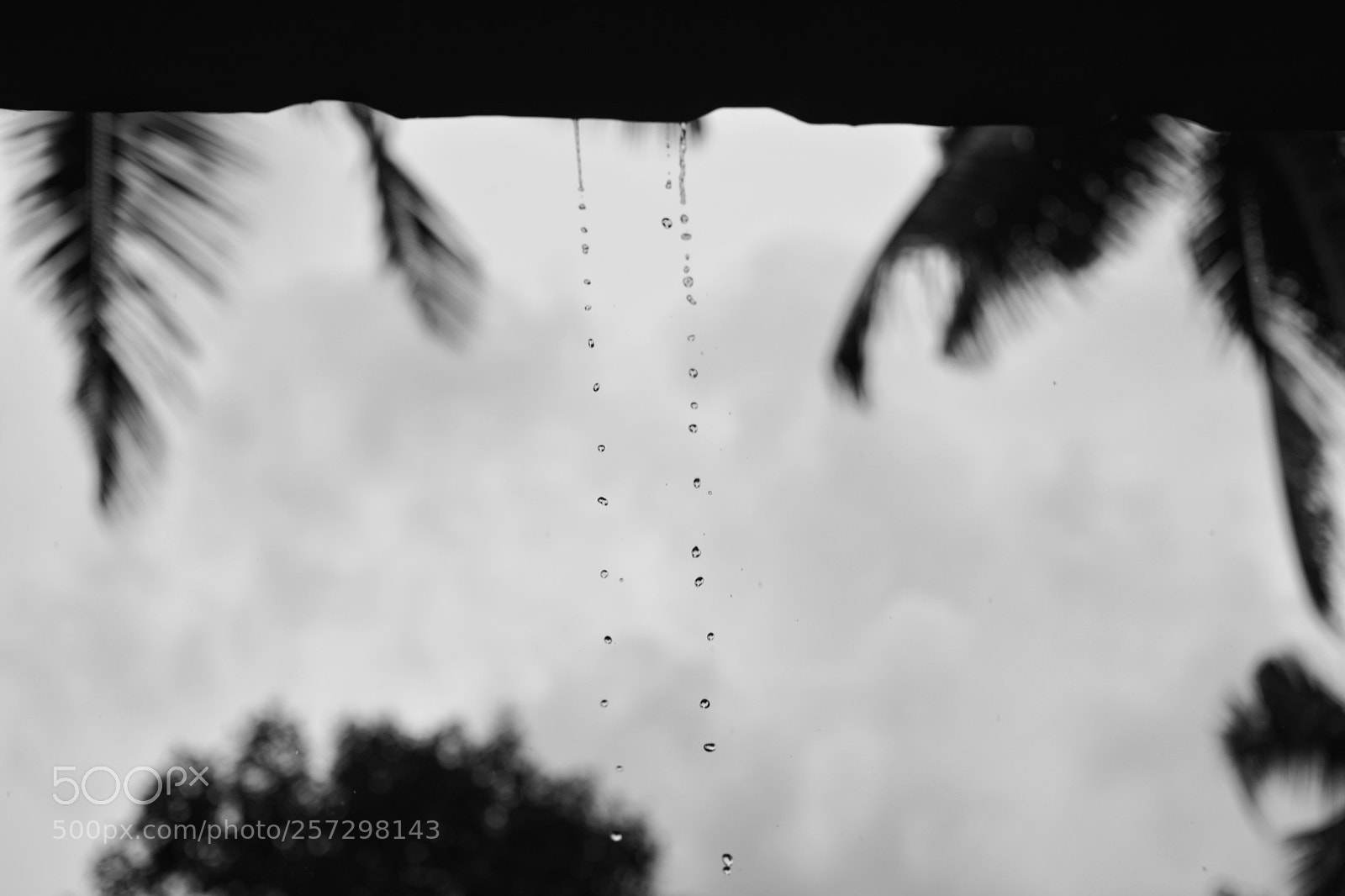 Nikon D5200 sample photo. Pearls in the air photography