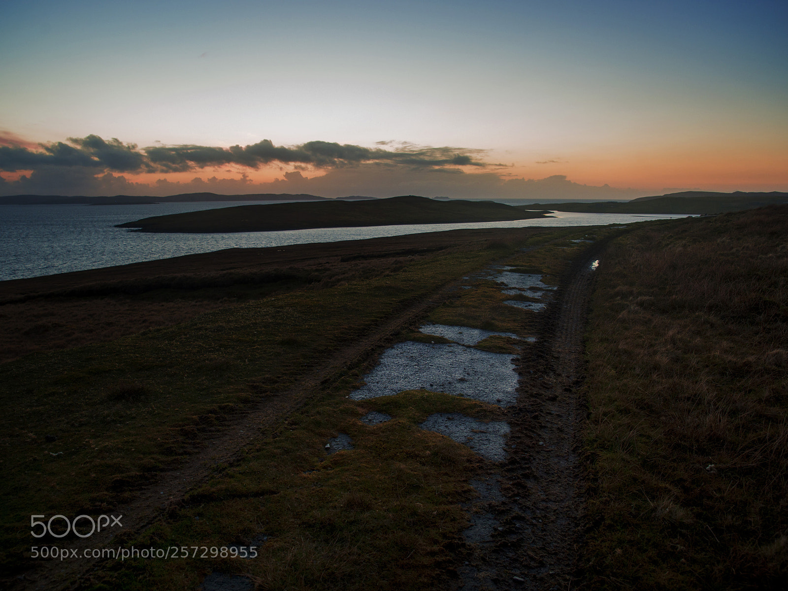 Nikon Df sample photo. Yell island, shetlands. photography