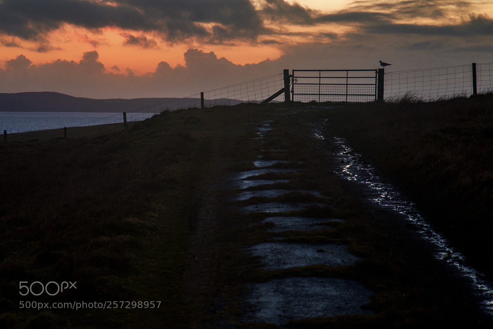 Nikon Df sample photo. Yell island, shetlands. photography
