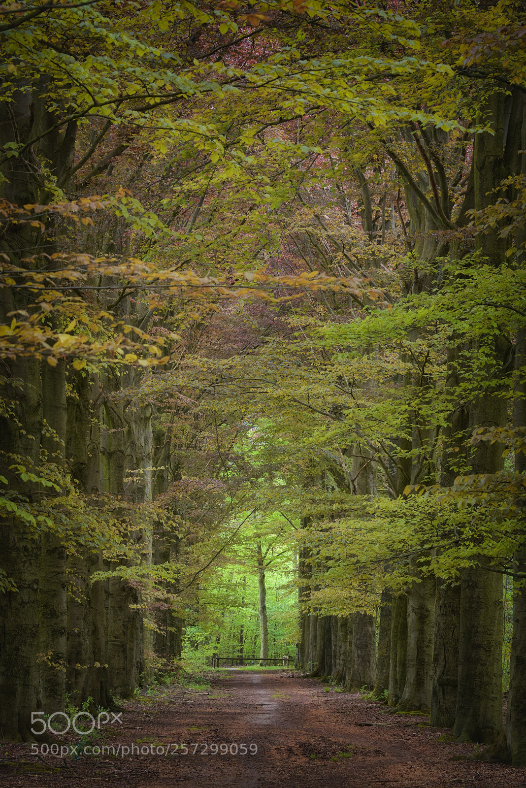 Nikon D800 sample photo. One at the end photography