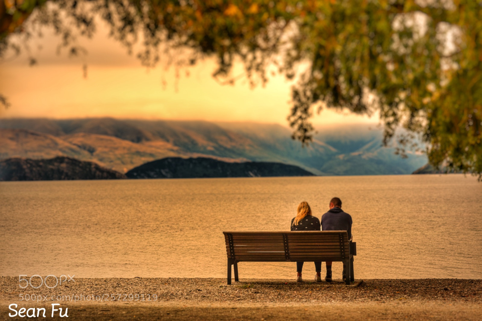 Nikon D810 sample photo. Untitled photography