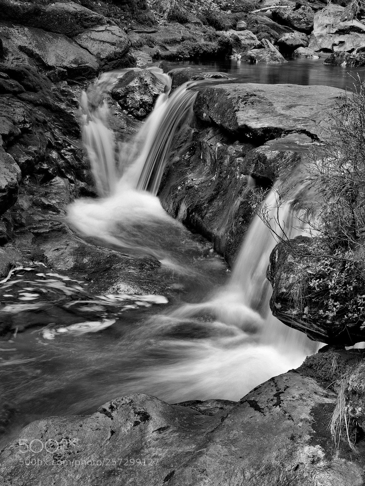 Canon EOS 5D Mark II sample photo. ~ photography