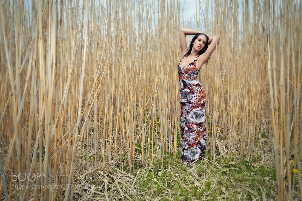 Nikon D800 sample photo. Cane and able... photography