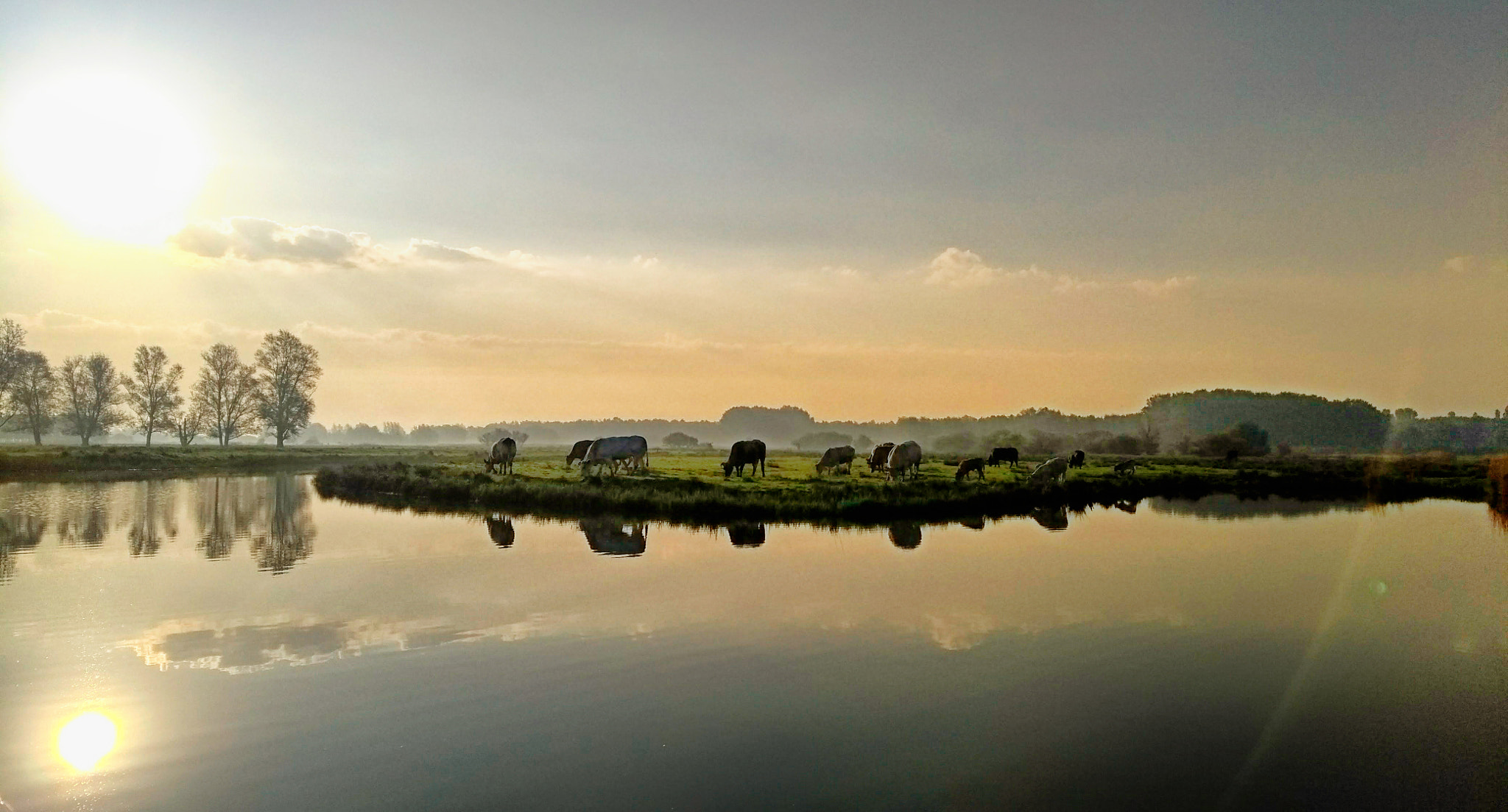 Motorola Moto G (5th Gen) sample photo. Early light photography