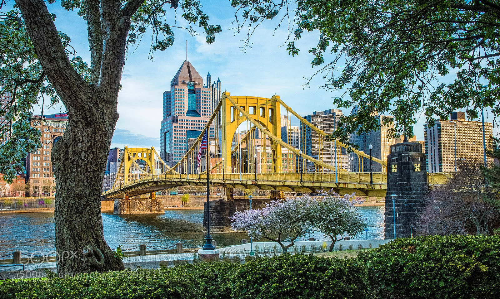Nikon D500 sample photo. Pittsburgh photography