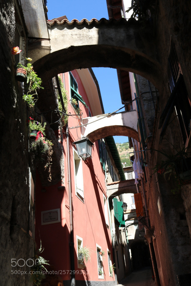 Canon EOS 750D (EOS Rebel T6i / EOS Kiss X8i) sample photo. Vallecrosia (im): via dritta photography