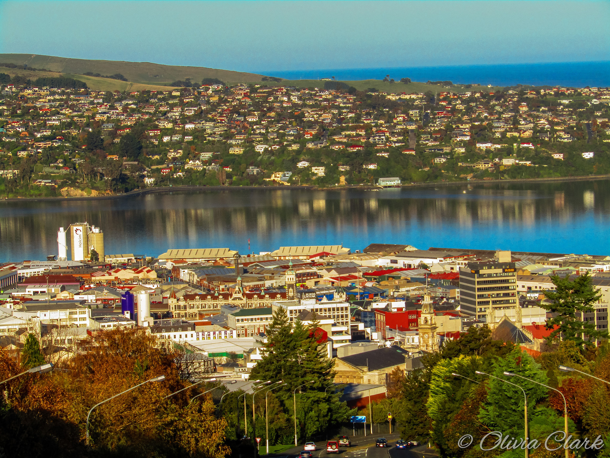 Canon POWERSHOT SX430 IS sample photo. Autumn in dunedin photography