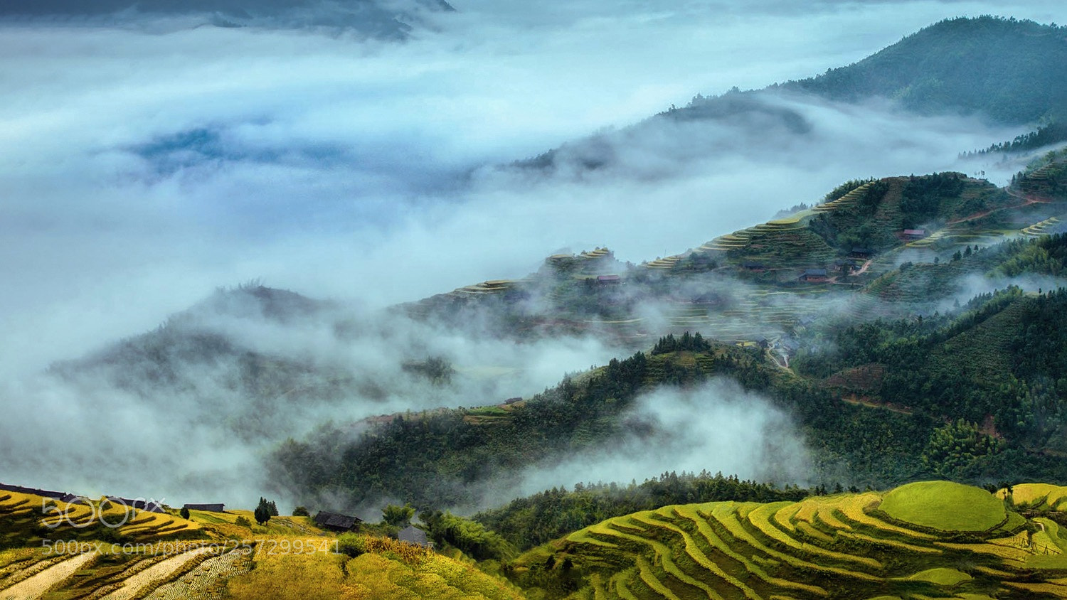 Canon EOS 5D Mark II sample photo. Autumn rice terraces after photography