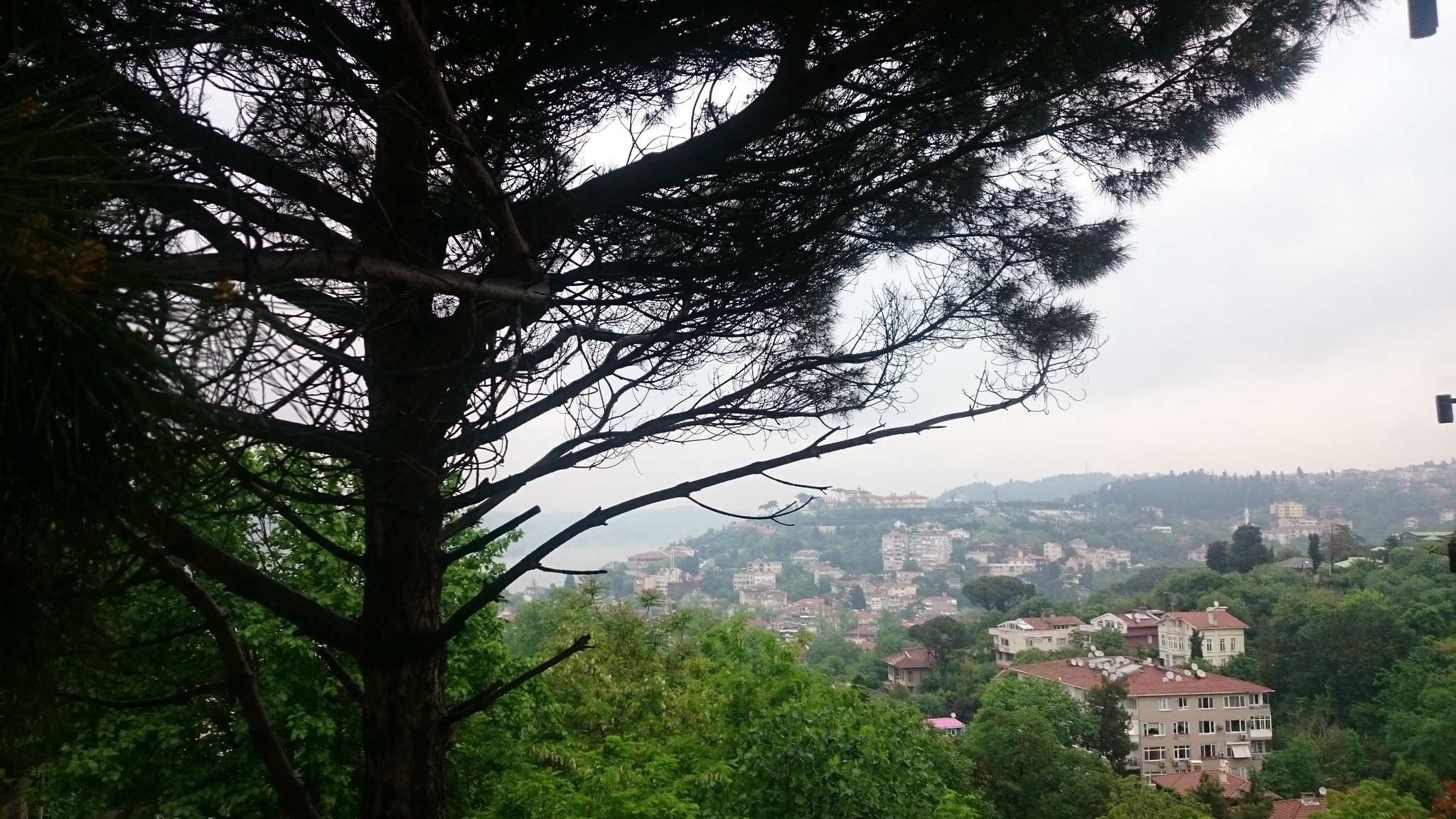 Sony Xperia Z2 sample photo. 11 photography