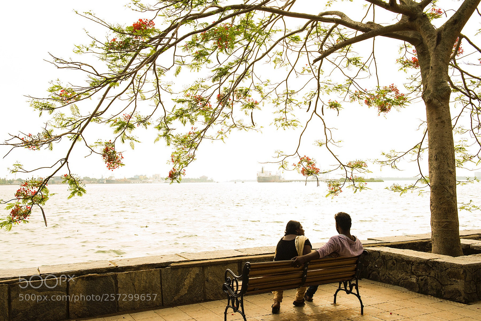 Nikon D810 sample photo. A trip to india. photography
