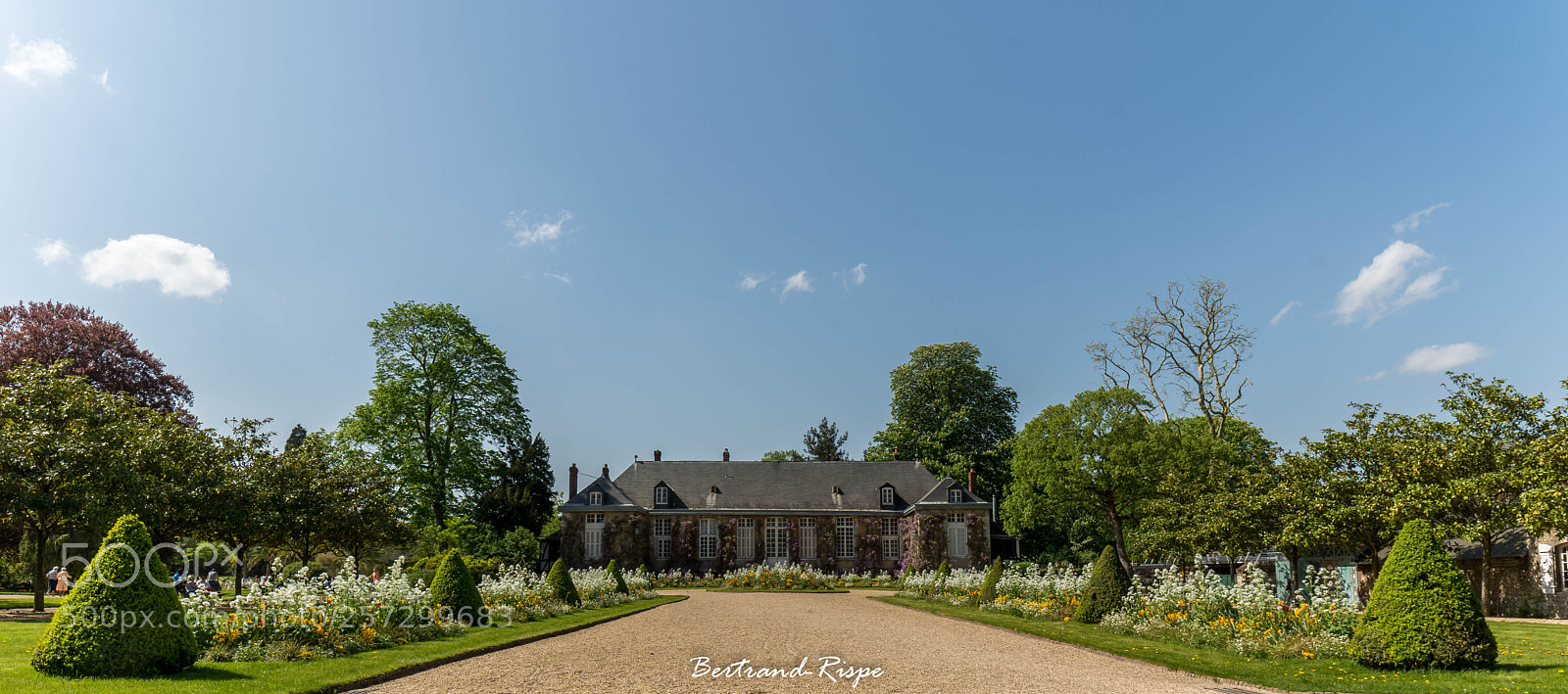 Nikon D7200 sample photo. Allée florale photography