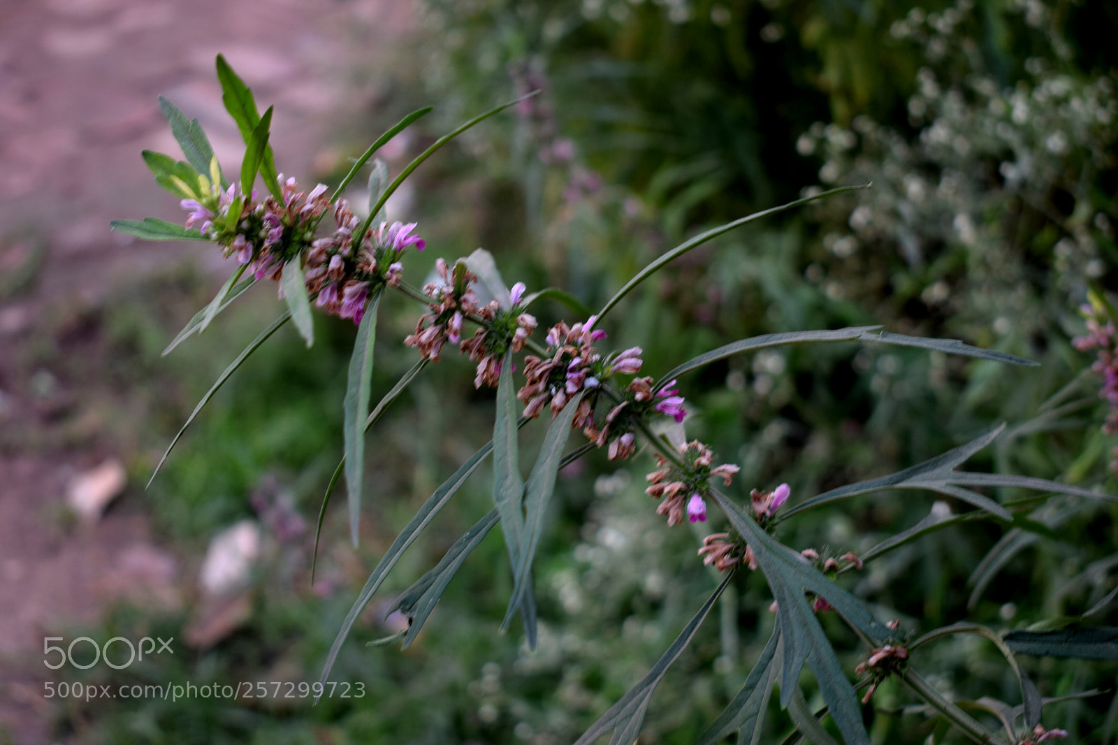 Nikon D3300 sample photo. Untitled photography