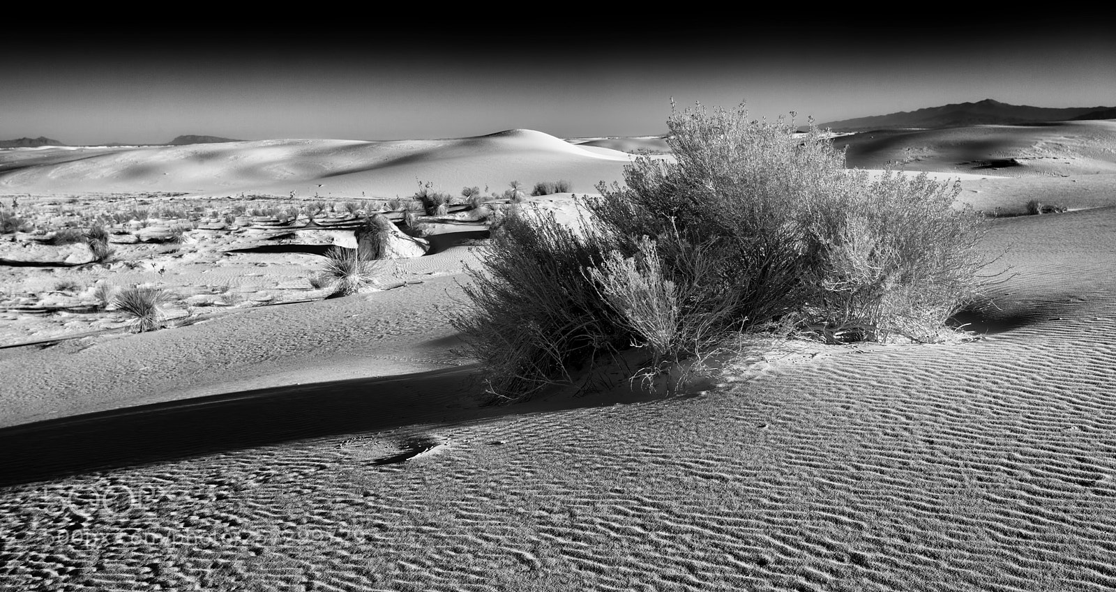 Canon EOS 5D Mark II sample photo. Morning shadows photography