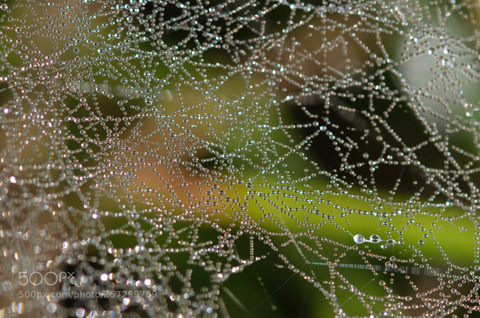 Nikon D7000 sample photo. Untitled photography