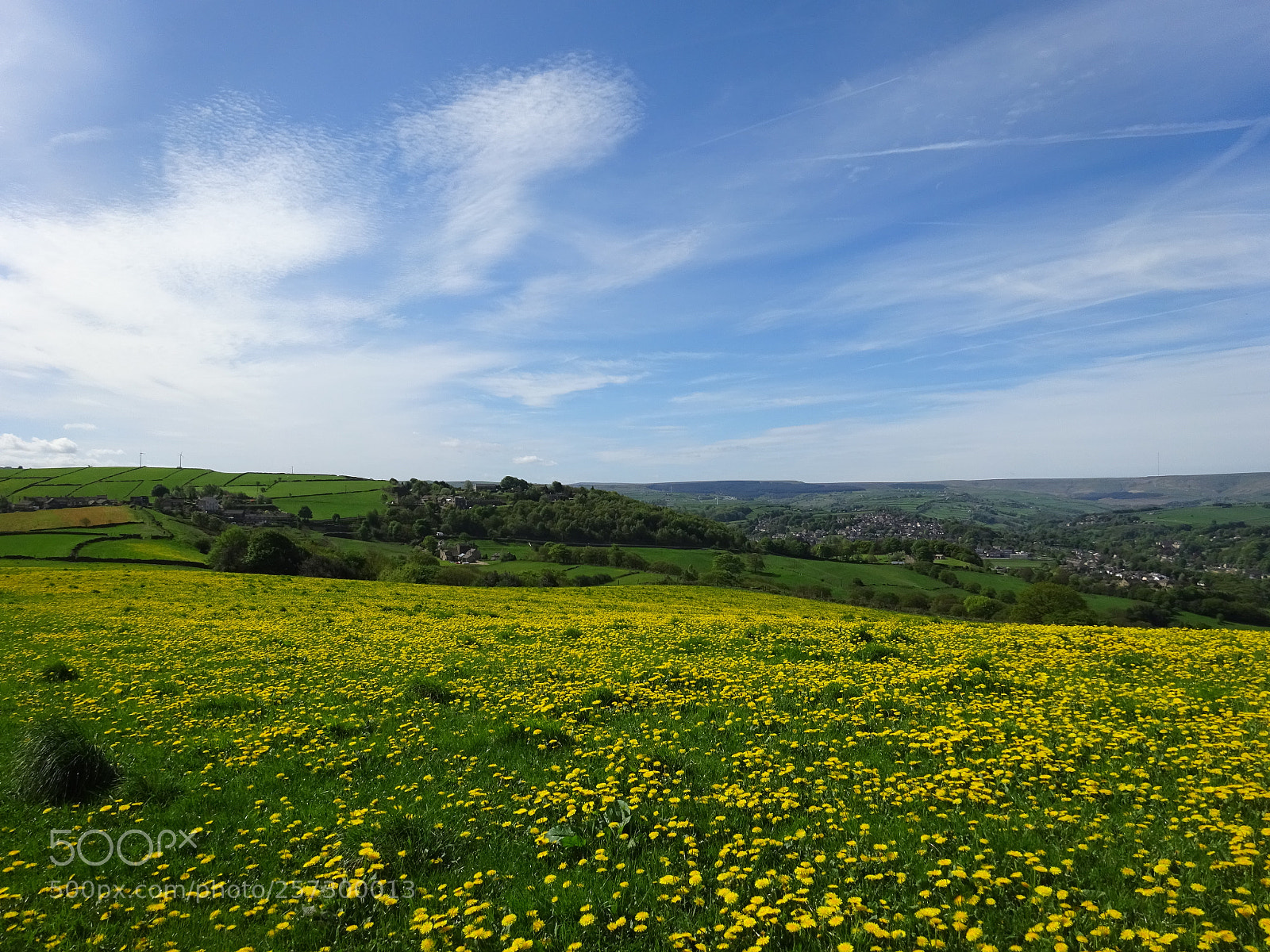Sony Cyber-shot DSC-WX350 sample photo. Explosion of dandelions photography