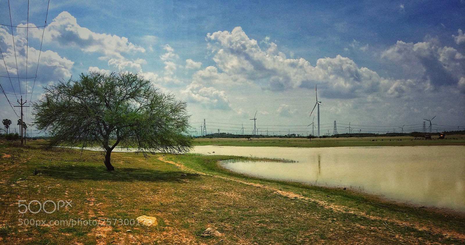 Apple iPhone 5s sample photo. Nature❤️ photography