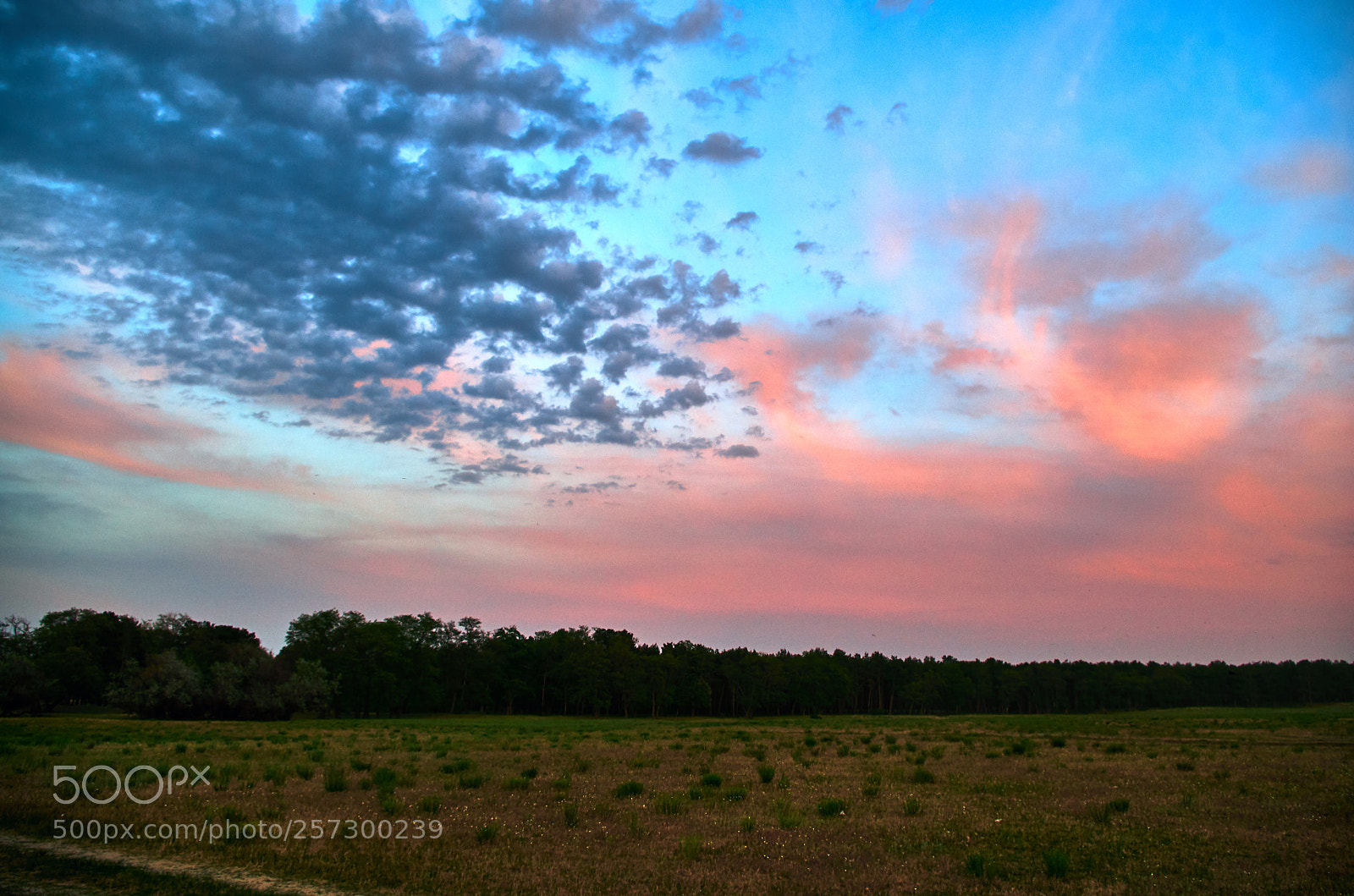 Pentax K-30 sample photo. Landscape on the sunset photography