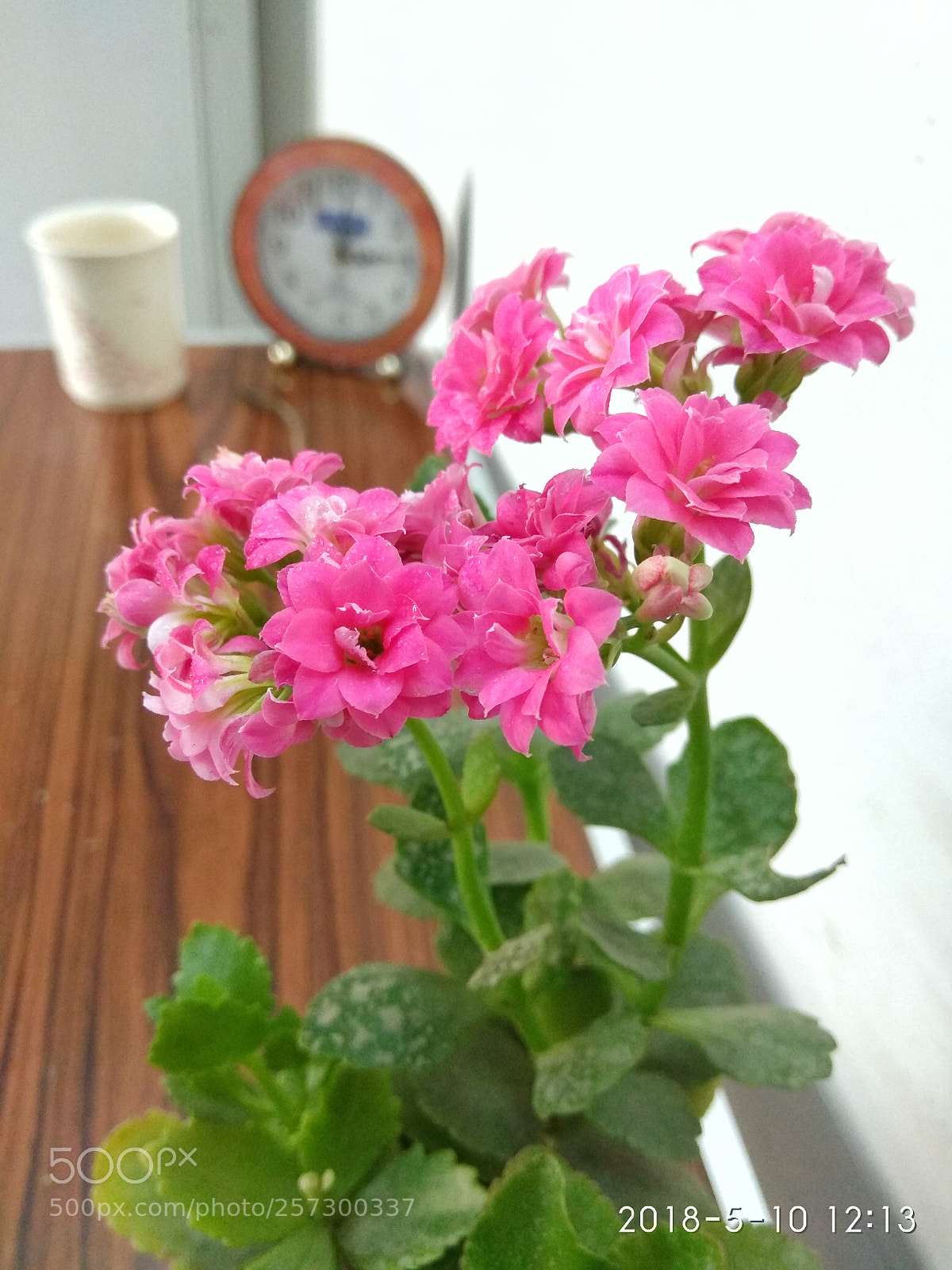 Xiaomi Redmi Note 4 sample photo. Study room photography
