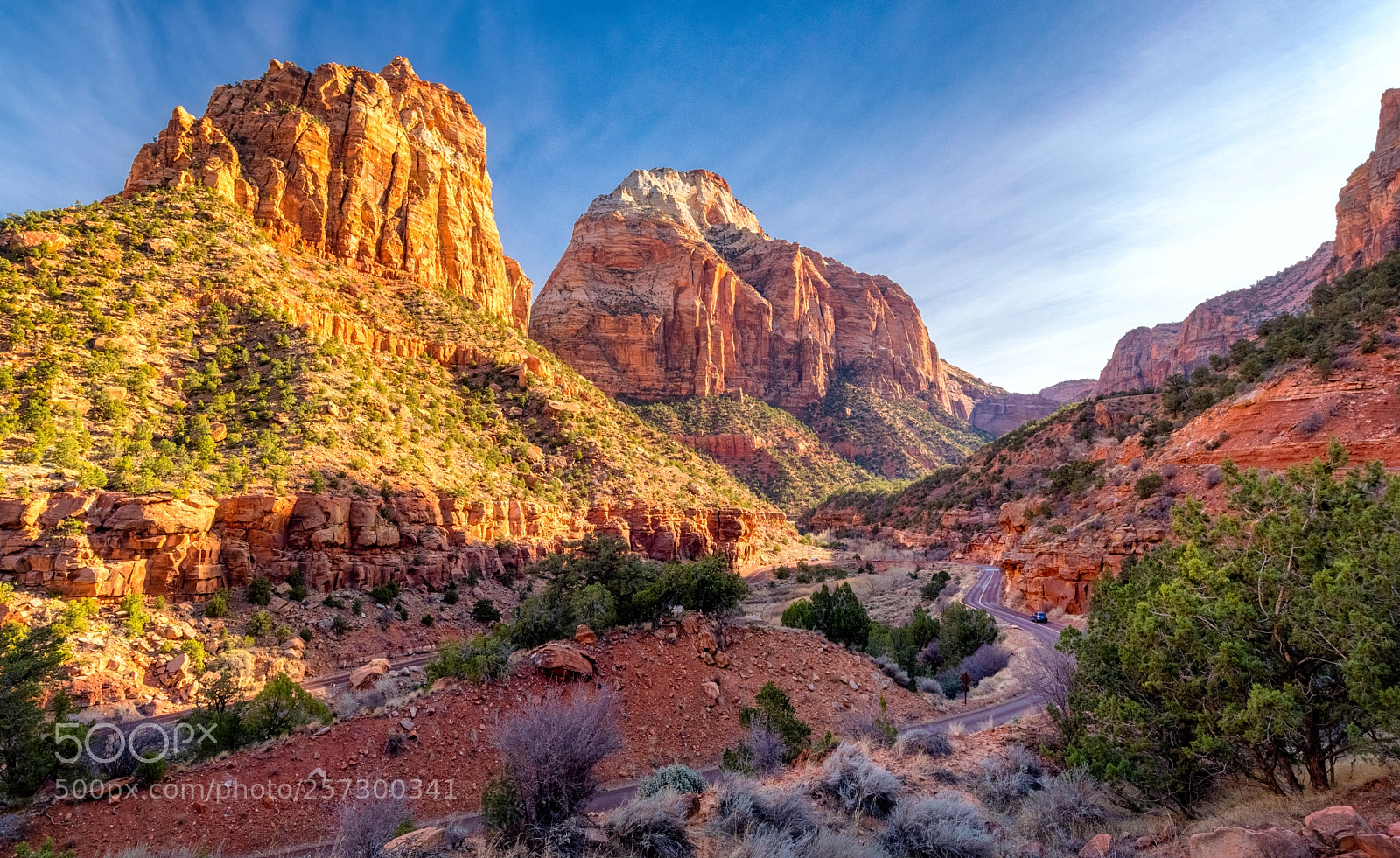 Nikon D750 sample photo. Driving through zion valley photography