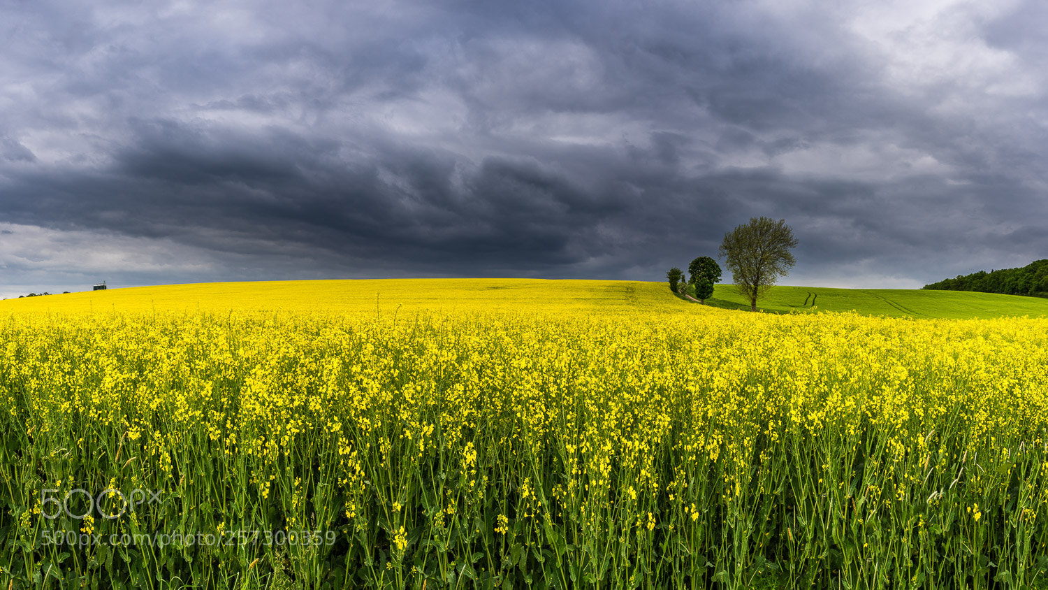 Sony a7 sample photo. Storm front above rape photography