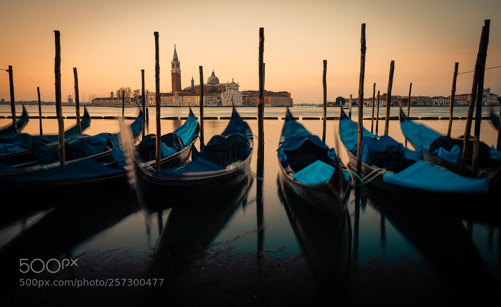 Sony a7R III sample photo. Dsc photography